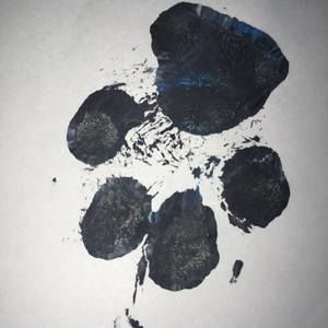 Meet your Posher, Jade